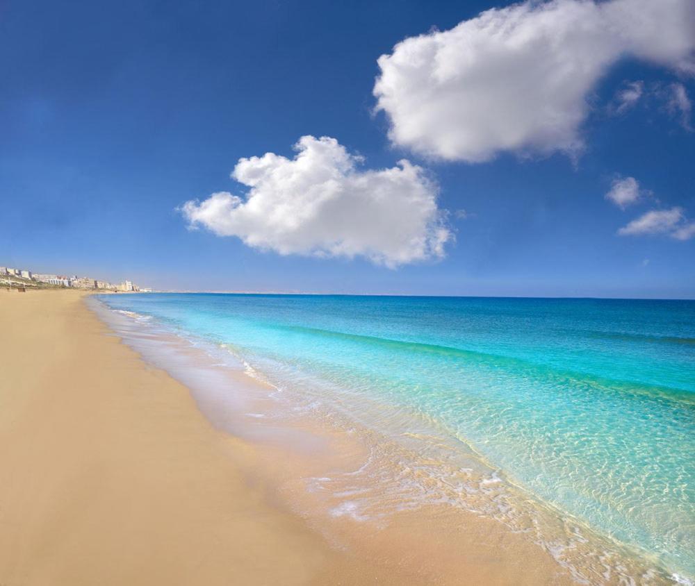 Stunning Sea Views At Just 270 M From The Beach アレナレス・デル・ソル エクステリア 写真
