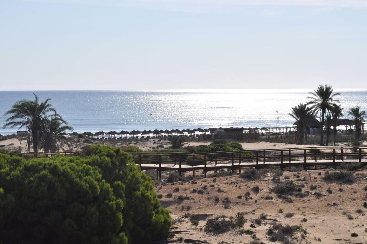 Stunning Sea Views At Just 270 M From The Beach アレナレス・デル・ソル エクステリア 写真